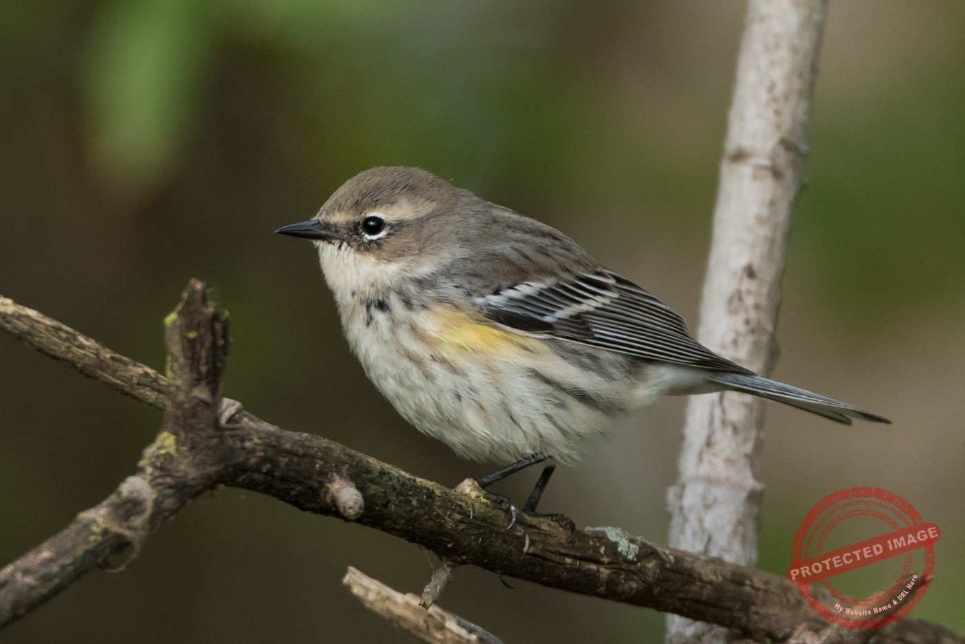 social science lesson 13 question answer